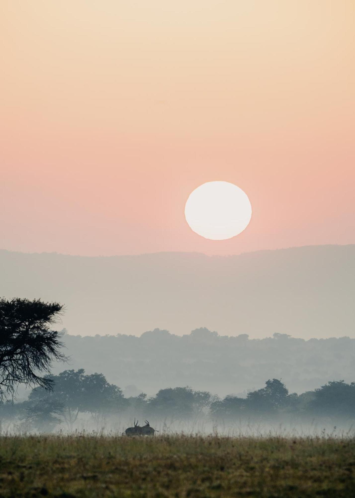 African Hills Safari Lodge & Spa Magaliesburg Eksteriør bilde
