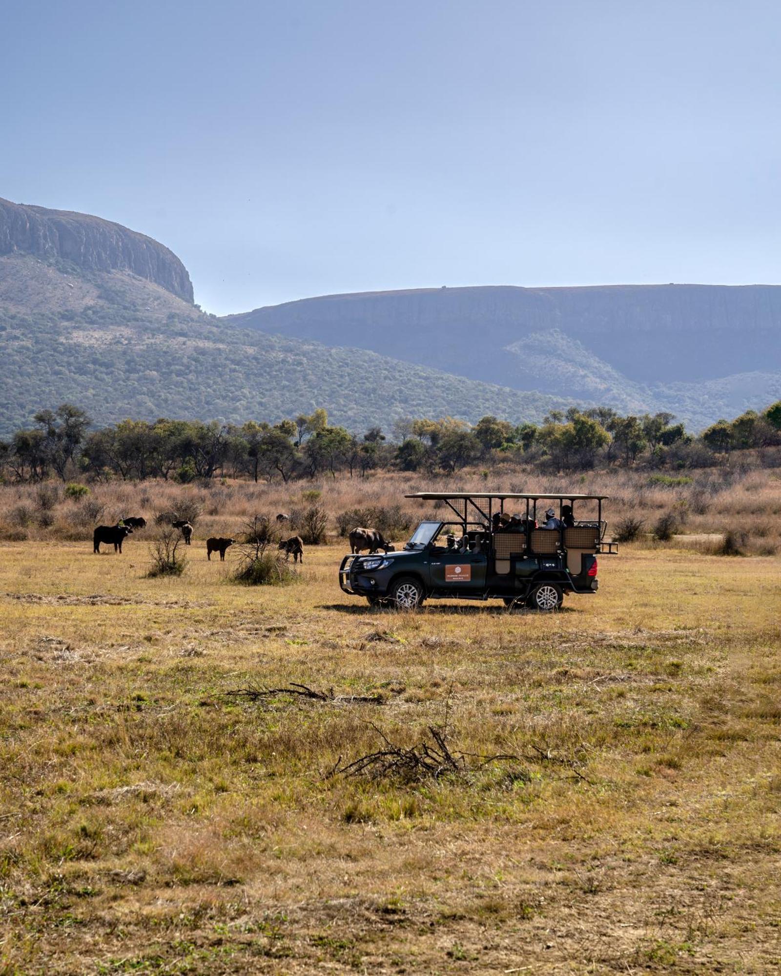 African Hills Safari Lodge & Spa Magaliesburg Eksteriør bilde
