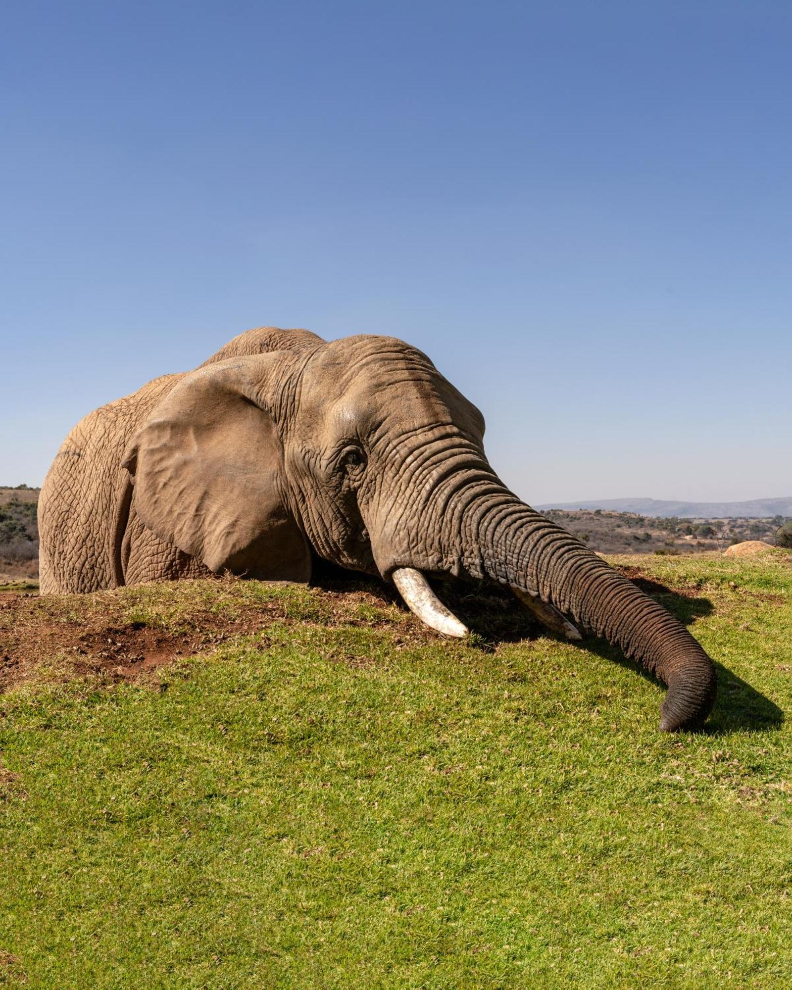 African Hills Safari Lodge & Spa Magaliesburg Eksteriør bilde
